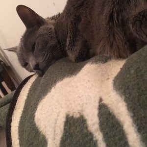 Meet your Posher, Alex